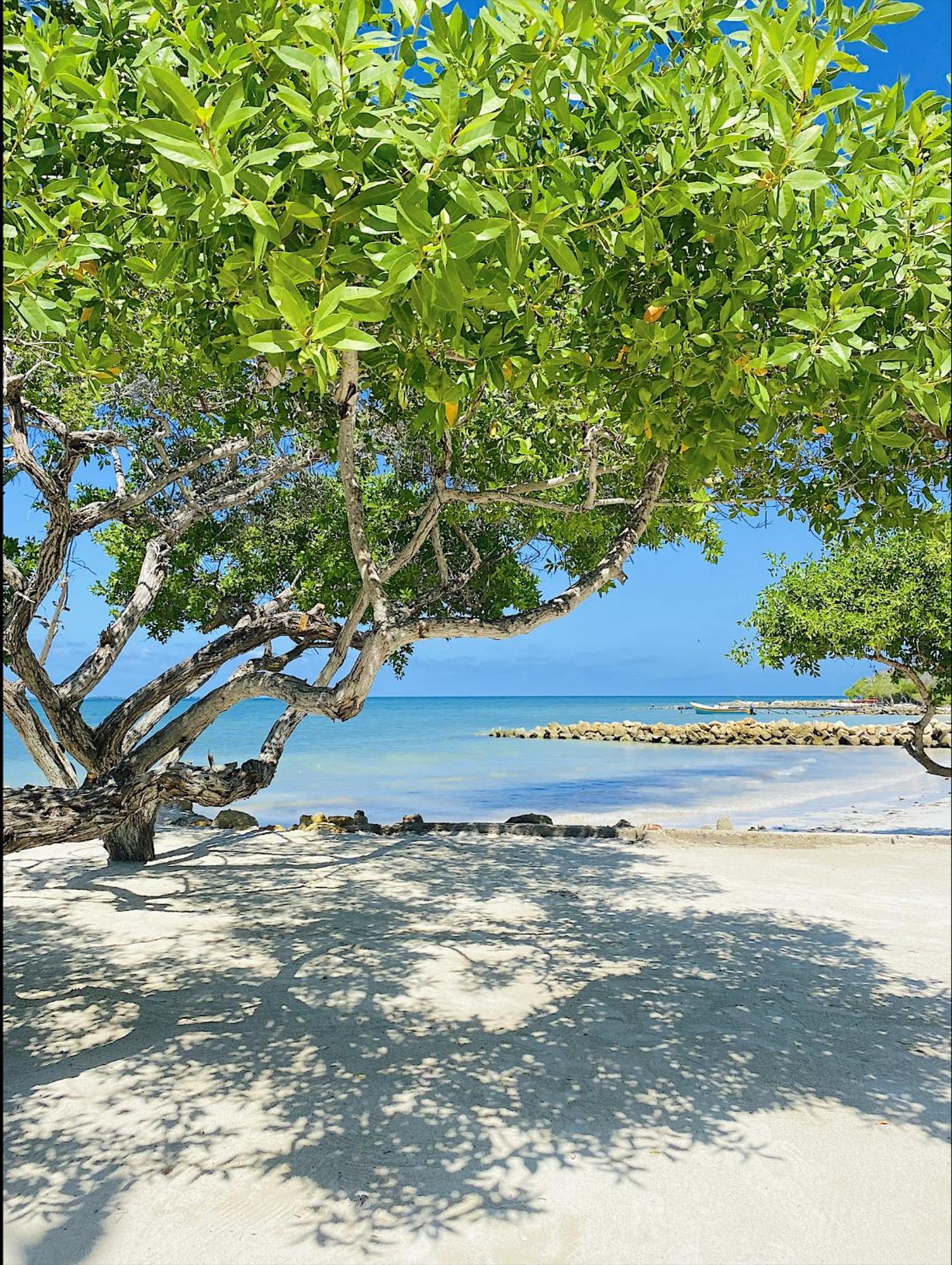 Carey Beach Isla Barú Exterior foto